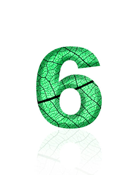 A shining gold number 6 stands prominently against a vibrant green chroma key background, creating a striking contrast. The smooth, metallic texture of the number glows, exuding a sense of celebration and luxury. This stock image futuristic design element combines elegance and digital innovation, enhanced by the vibrant green screen, making the golden digit stand out with festive energy.