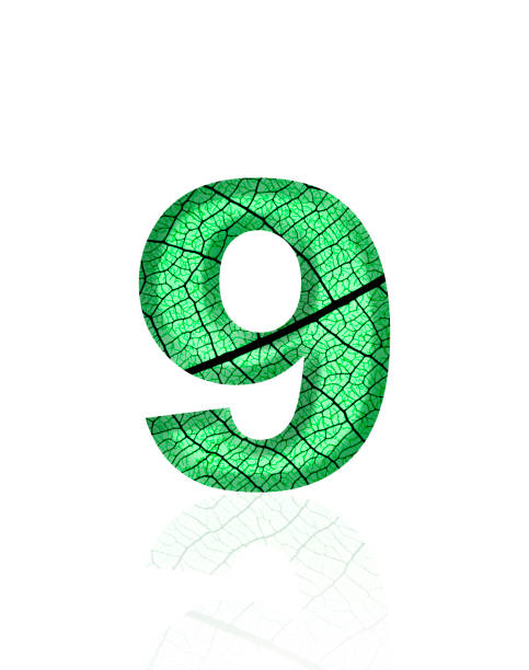 Extreme close-up of three-dimensional green leaf vein number 9 on white background.