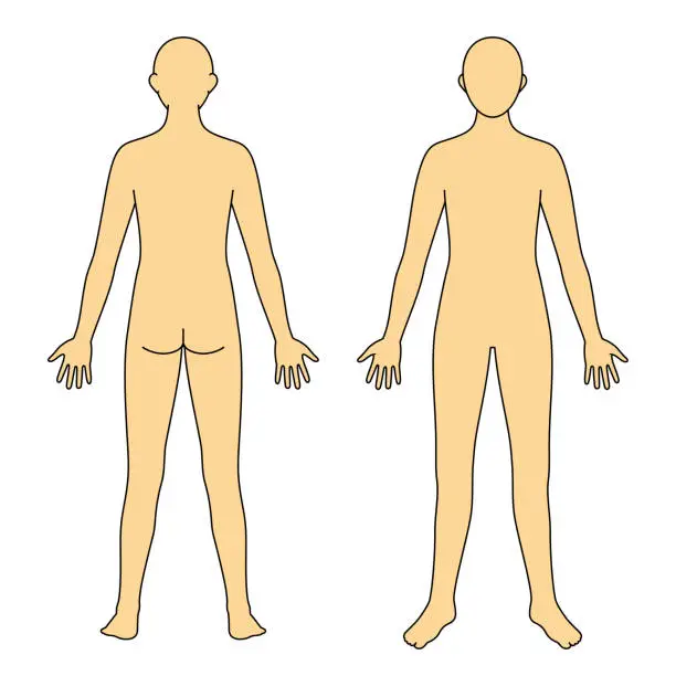 Body Frant Бесплатные иллюстрации и векторы blank body outline front and back ...