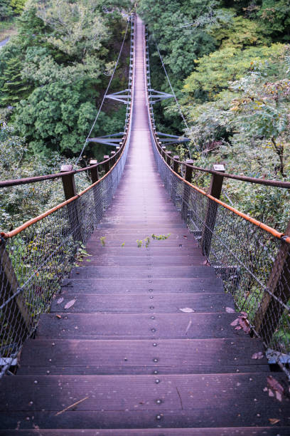 istock Front view of suspension bridge with stairs 2152679796