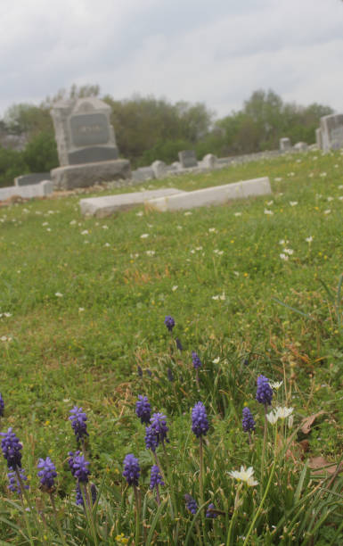 istock Historic Cemetery Located in Troup Texas on Cloudy Day 2152681985