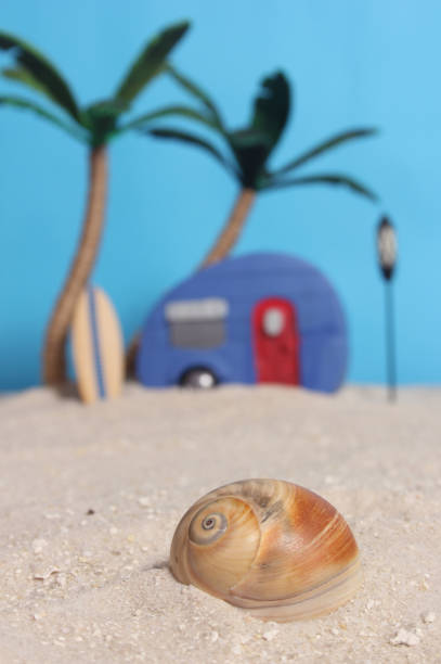 Summertime Beach Scene With Sea Shells and Palm Trees Shallow DOF