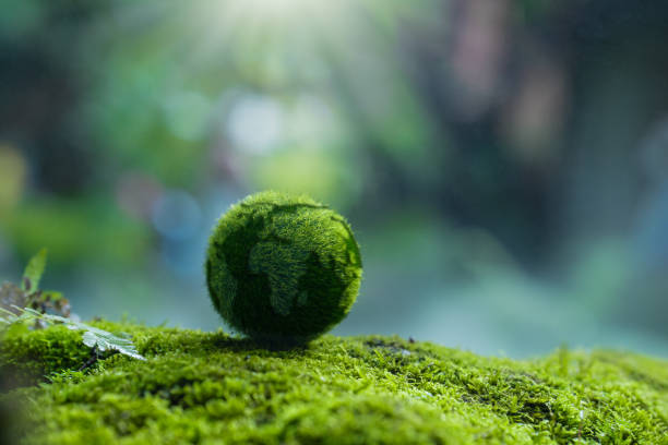 istock Net Zero Concept and Carbon Neutral Natural Environment Climate-neutral long-term emissions strategy, goals, sustainability, globe icon. green background 2152683530