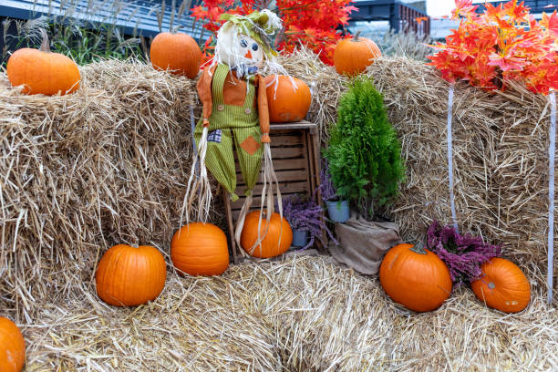 istock Scarecrow in Straw Haystack Field with Autumn Pumpkins and Fall Leaves 2152684276