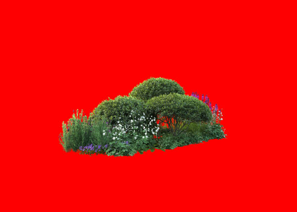 3d redering of floral,Mediterranean garden