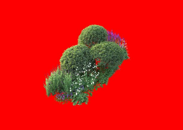 3d redering of floral,Mediterranean garden