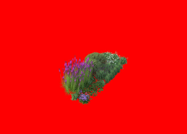3d redering of floral,Mediterranean garden