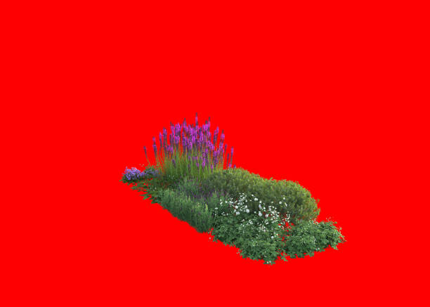 istock 3d redering of floral,Mediterranean garden 2152685478