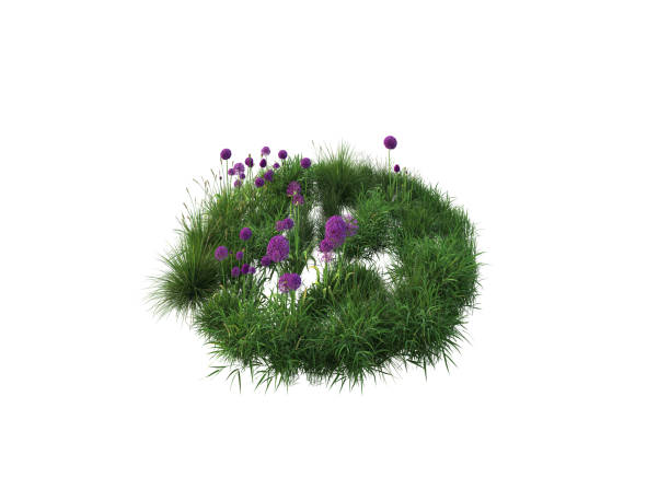 istock 3d rendering of  flowers, plants and flowers 2152685602