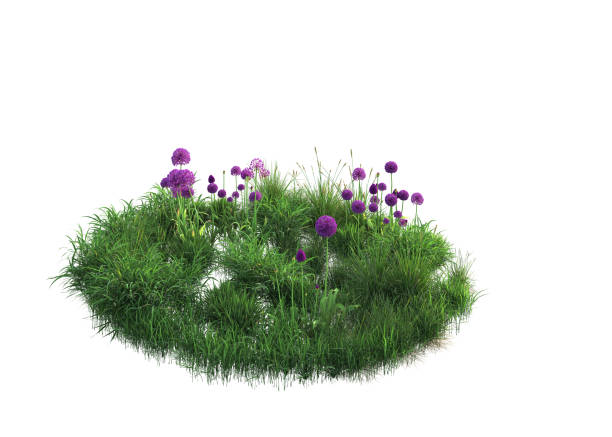 istock 3D rendering of flowers 2152685702