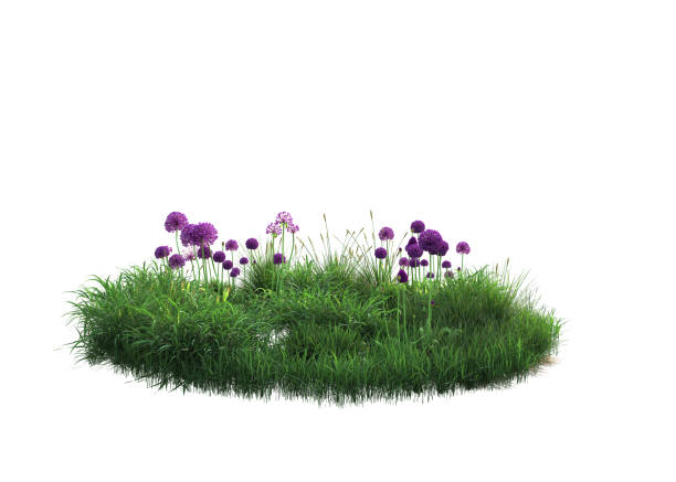 istock 3D rendering of flowers 2152685705