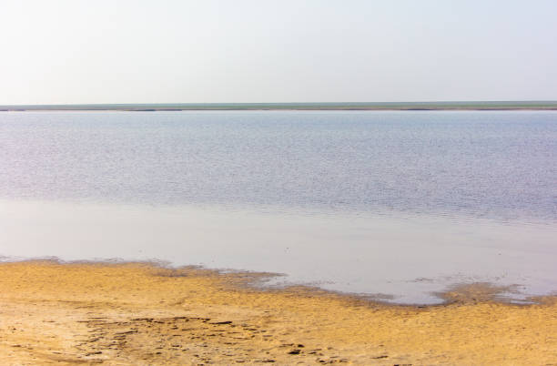 istock Lake in the steppe in spring as a background 2152686989