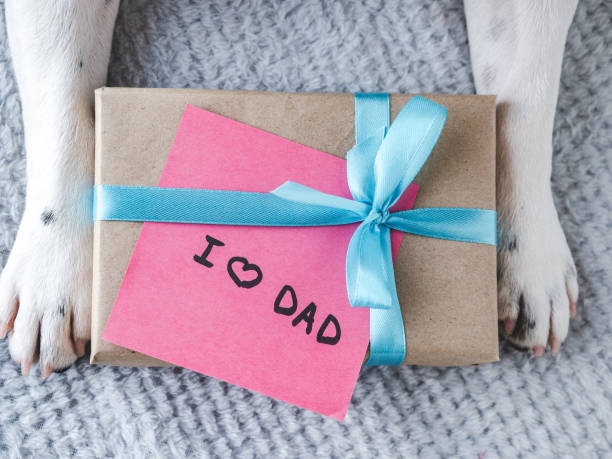 istock Beautiful gift box, dog paws and note 2152688177