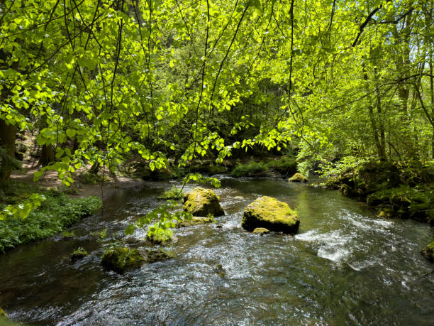 istock Mountain river flowing inside mysterious forest, Vogtland Triebtal 2152688311