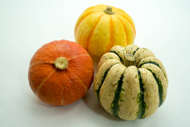 3 kinds of small pumpkins
