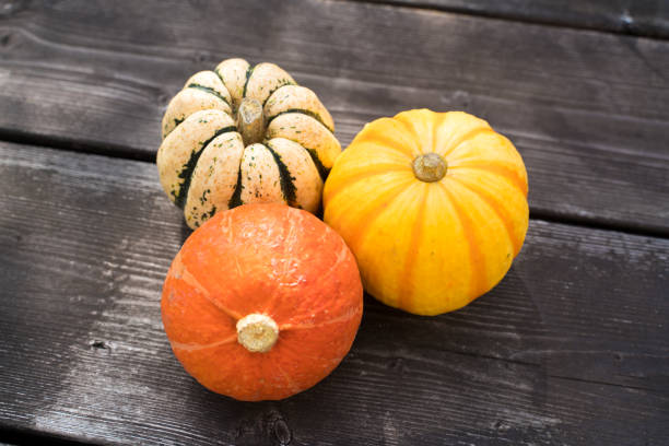istock 3 kinds of small pumpkins 2152689492