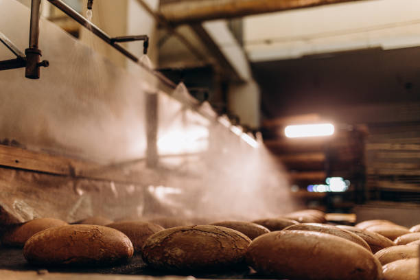 istock Square fresh bread cools down on conveyor automatic production line bakery after stone oven. 2152690799