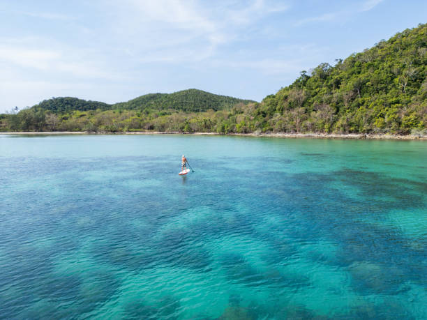 istock Paddleboarding by A Lush Island Cove 2152693423