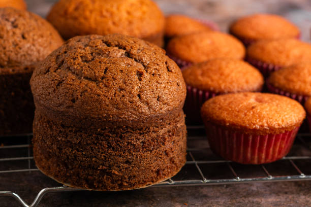 istock Small freshly baked cake and cupcakes. Pastry table. 2152693529