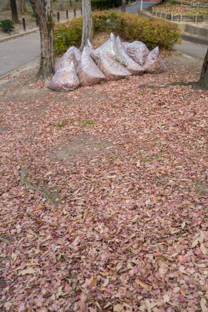 istock Cleaning the fallen leaves in the park 2152693753
