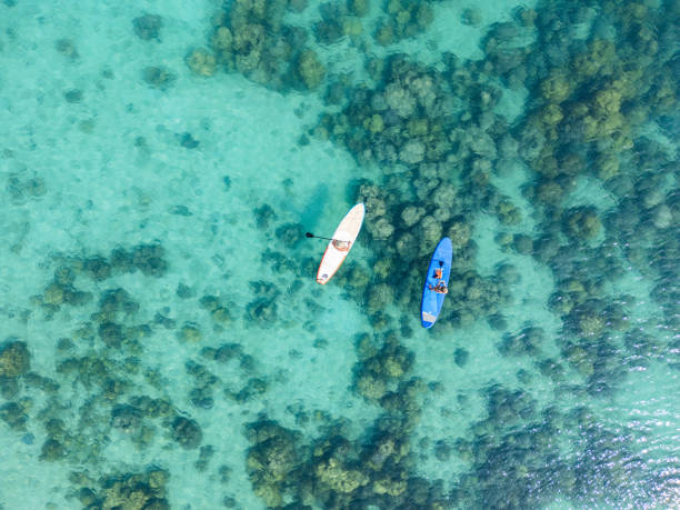 istock People Paddleboarding Over Lush Coral Gardens 2152693761