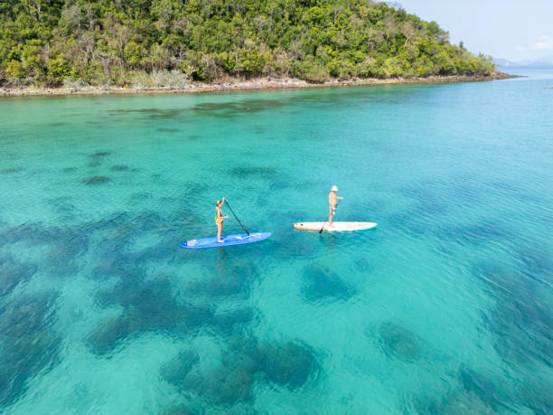 istock Paddleboarding Adventure By A Sea Shore 2152693863