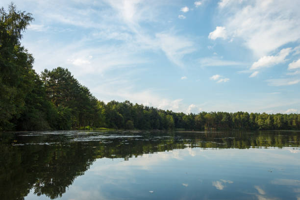 istock Landscape with a forest lake on a summer sunny day. 2152695461