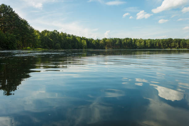 istock Landscape with a forest lake on a summer sunny day. 2152695484