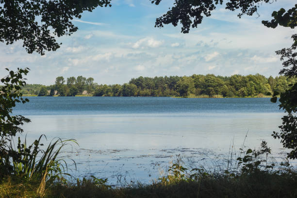 istock View of the forest lake framed by plants 2152695495