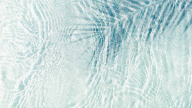istock transparent rippled water surface with palm leaf shadow at the sand beach on a summer day, abstract idyllic beach vacation background from above with copy space 2152696699