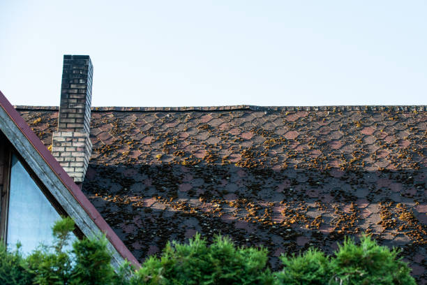 istock Moss on an old shingle roof. Sunny day 2152698031