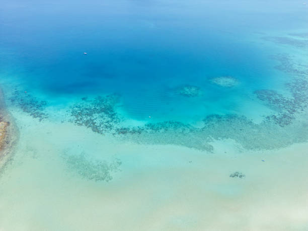 Soaring high above the Whitsundays, the helicopter offers a breathtaking aerial perspective of the pristine blue ocean and dazzling white sands below. The crystal-clear waters shimmer in varying shades of turquoise, revealing coral patterns and lush green islands scattered across the horizon.