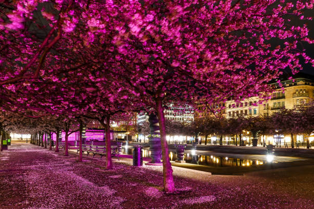 istock Stockholm, Sweden 2152701518