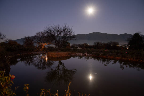 Countryside Rose Garden Night View