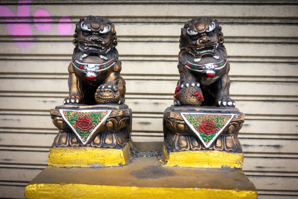 Two seated Chinese painted bronze dragon statues in front of a closed roller shutter.
