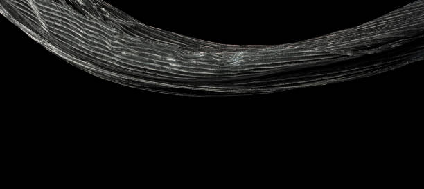 istock Silver drape fabric flying in curve shape, Piece of textile Silver drape fabric throw fall in air. Black background isolated motion blur 2152706340