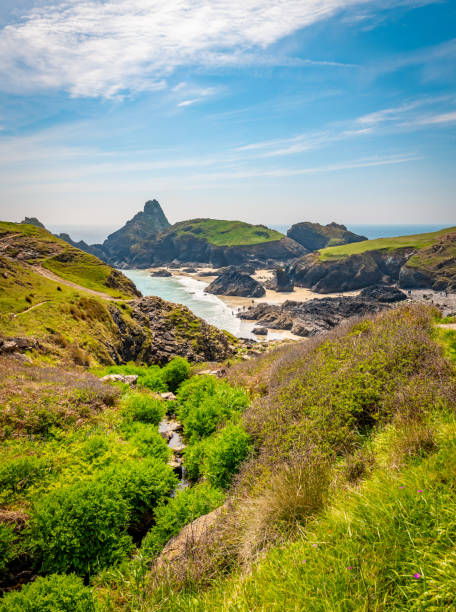 istock Stream leads to Kynance Cove 2152707931
