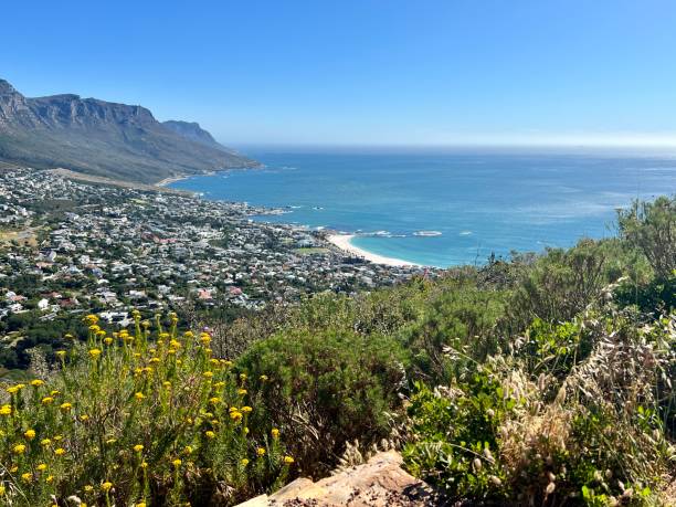 istock Cape Town coastline from above 2152708479