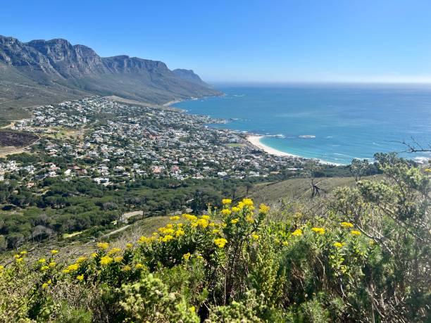 istock Cape Town coastline from above 2152708518