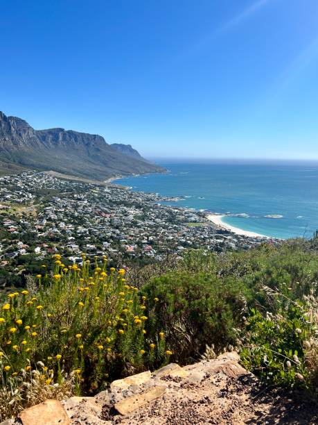 Cape Town coastline from above