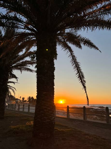 istock Sunset on Cape Town beach, South Afrinca 2152708628