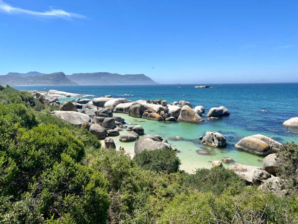 istock Boulders beach, Western Cape, South Africa 2152710362