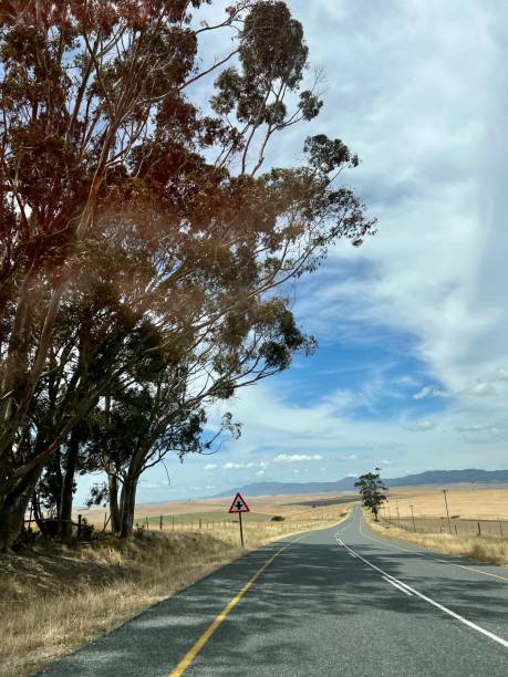 istock Road trip in South Africa 2152715358