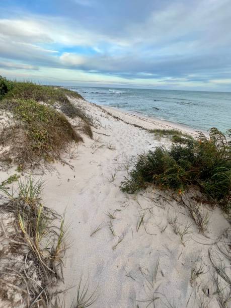 istock Beach footpath, South Africa 2152716285