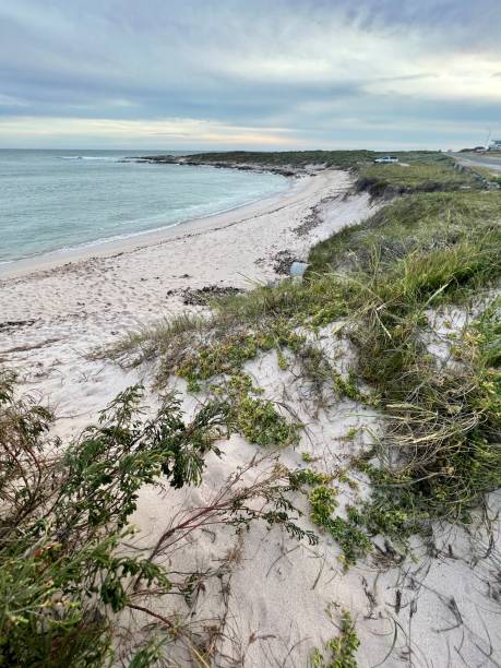 istock South African Coastline 2152716377