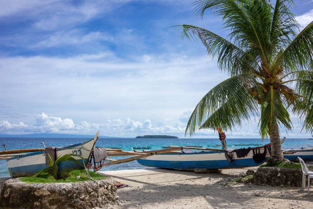 istock Tropical beach setting with traditional boats anchored ashore. Vivid blue skies complement the serene sea view with a lush palm tree in the foreground 2152716743