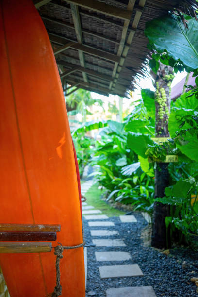 istock An orange surfboard is in the foreground in a surf rack. Next to it, a stone path leads straight ahead through many green plants in the direction of the beach. 2152717020