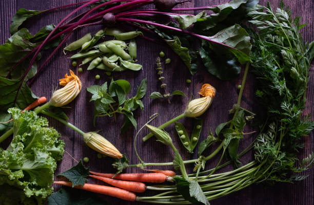 Flat Stacking series assorted green tinted Vegetables, Fresh Organic raw products