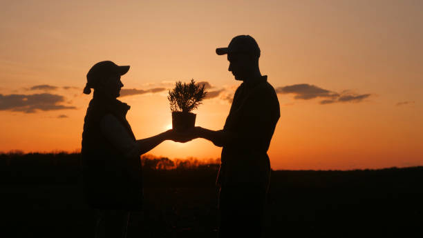 istock Under the sunsets glow, he hands her a plant in a happy gesture 2152724666