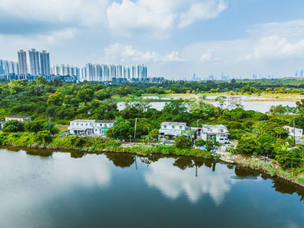 istock Drone view fish ponds in Hong Kong 2152725230